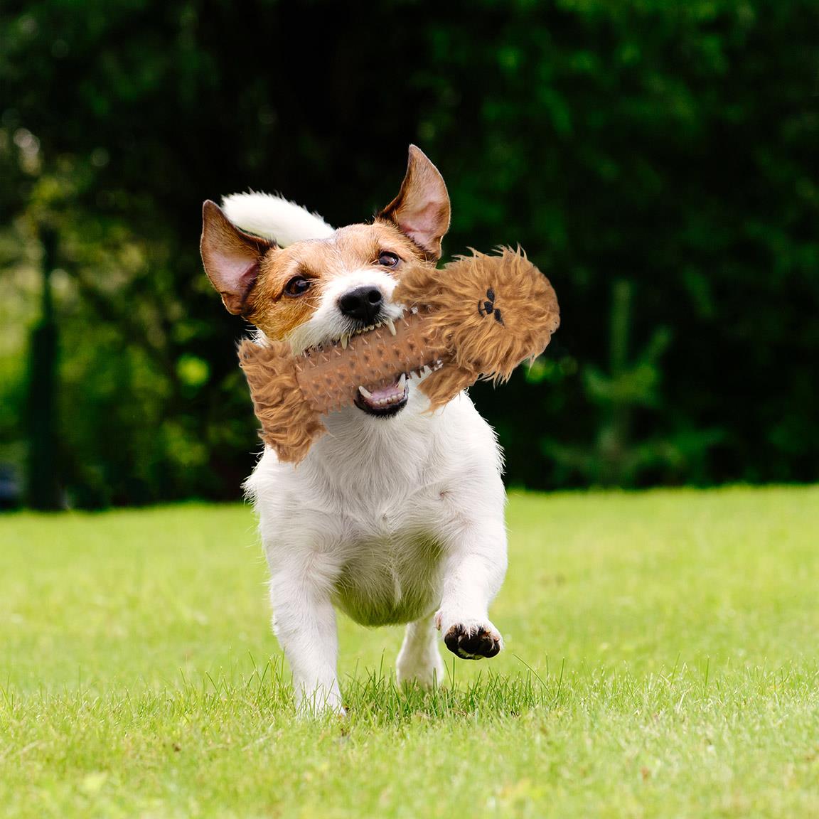 Disney Star Wars Dog Teether Chewbacca