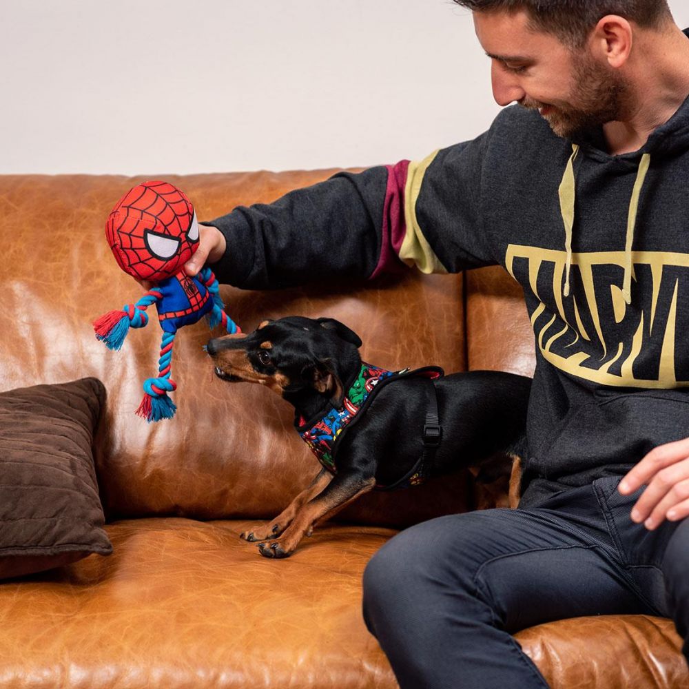 Marvel Spiderman Rope Teether for Dogs