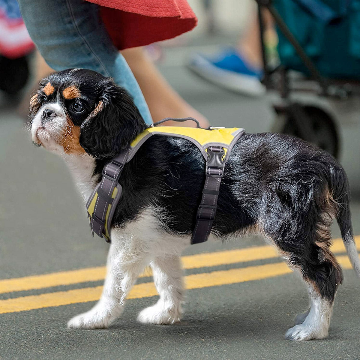 Fida Dog Harness – Yellow