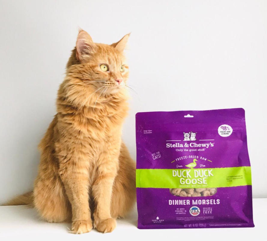 Stella & Chewy's Freeze-Dried Duck & Goose for Cats