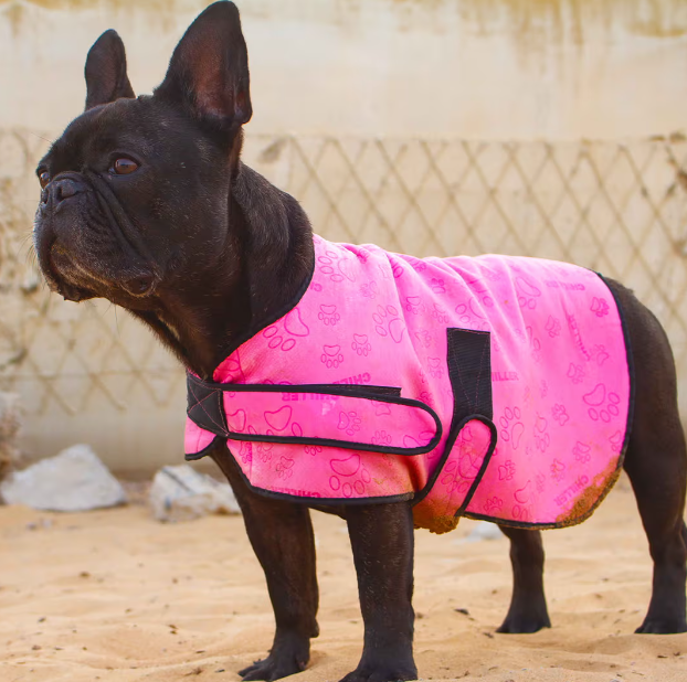 Aquamat Dog Cooling Vest Chiller Chien