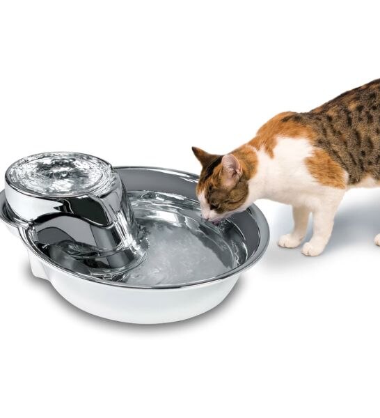 Pioneer Pet Stainless Steel Fountain - Big Max Style 128oz (3.8 L)