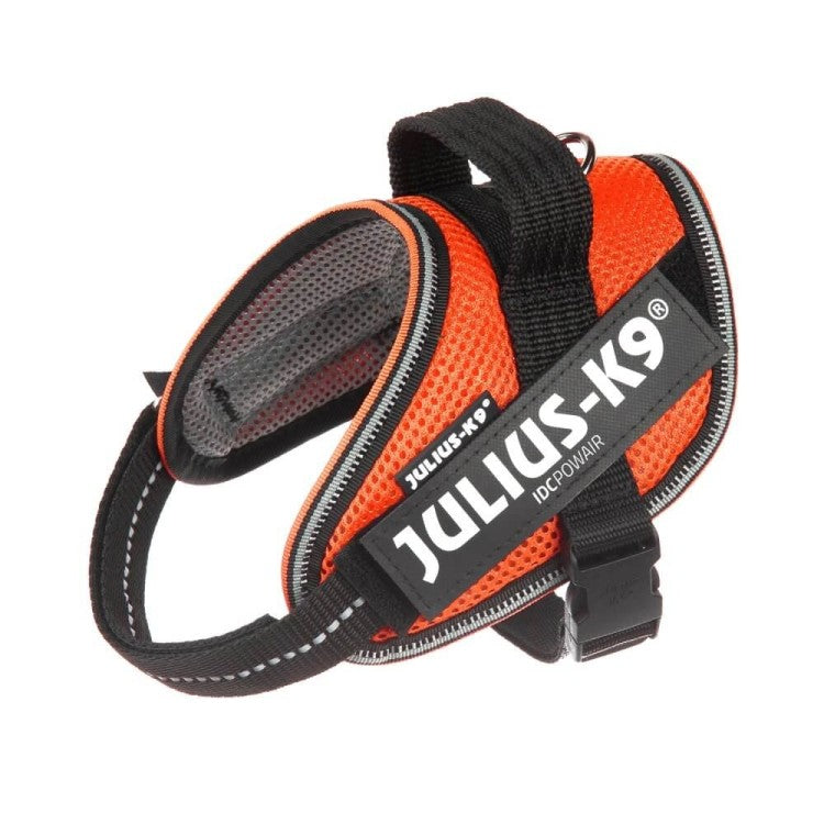 Julius K9 IDC Powair Harness Orange