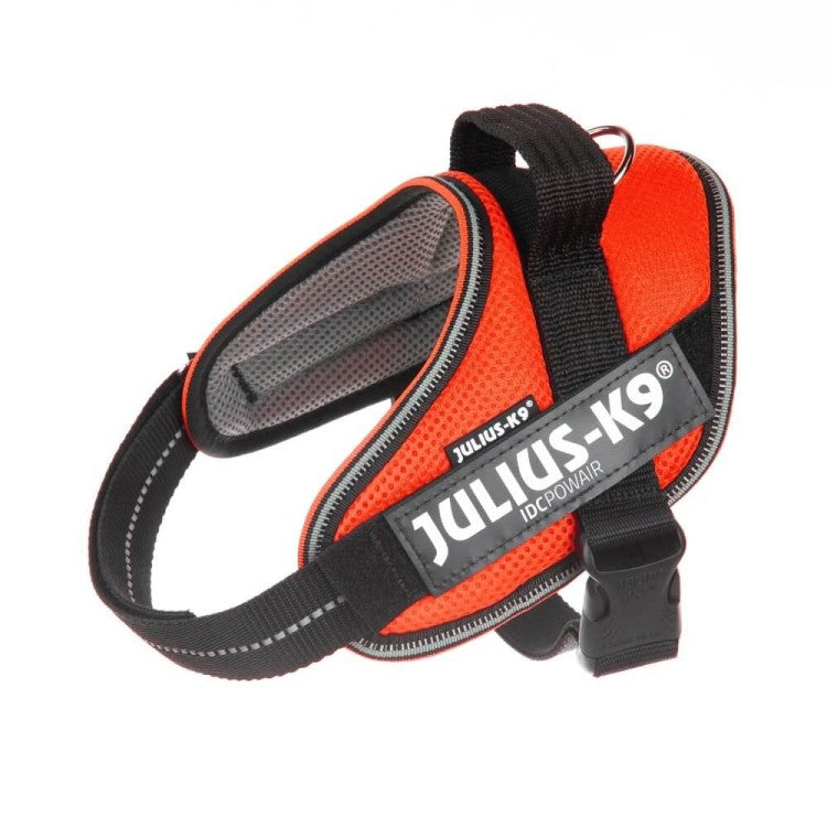 Julius K9 IDC Powair Harness Orange