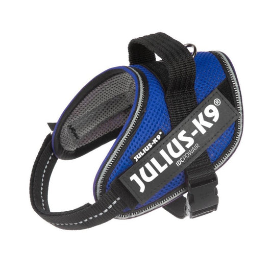 Julius K9 IDC Powair Harness Blue