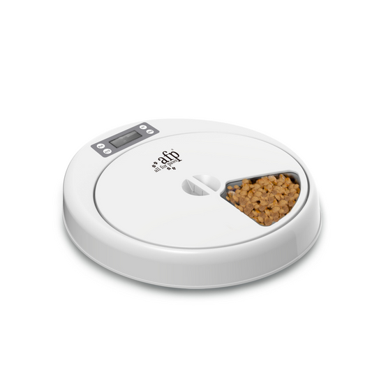 All for Paws 5-Meal Pet Feeder