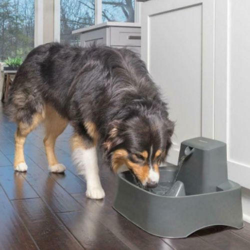 PetSafe Drinkwell Water Fountain