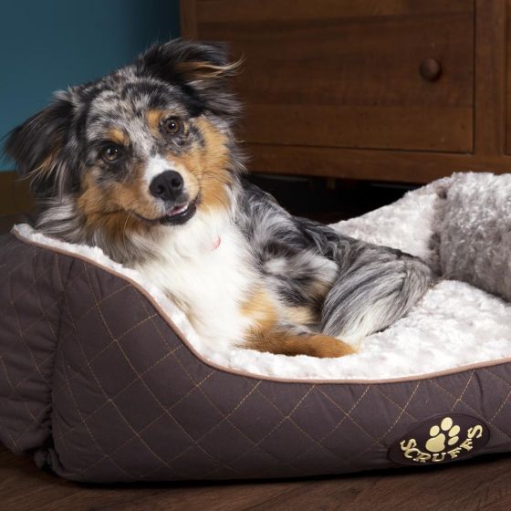 Scruffs Wilton Box Dog Bed