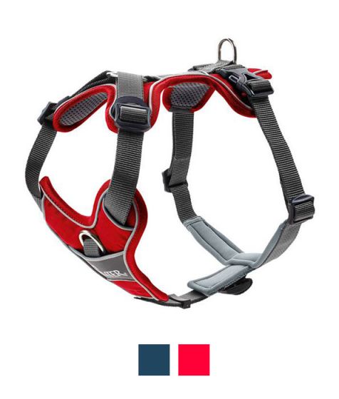 Hunter Divo Dog Harness