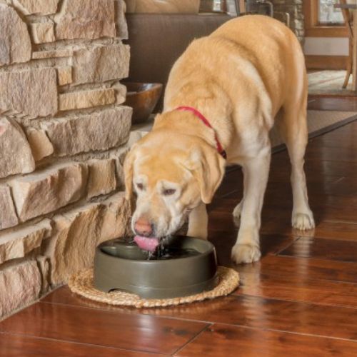 Petsafe Drinkwell Current Water Fountain