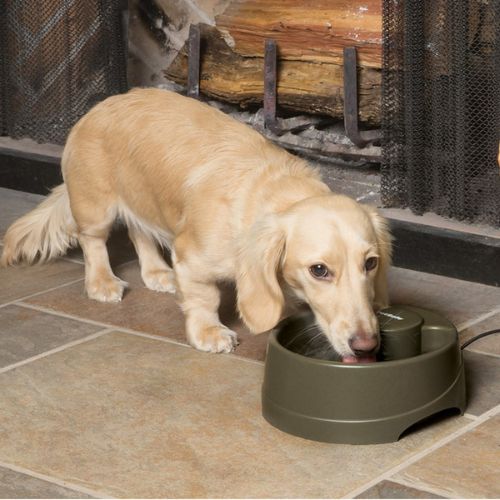 Petsafe Drinkwell Current Water Fountain