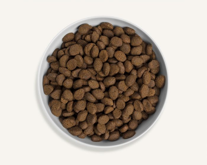 Canagan Country Game Dry Food for Dogs 12 kg