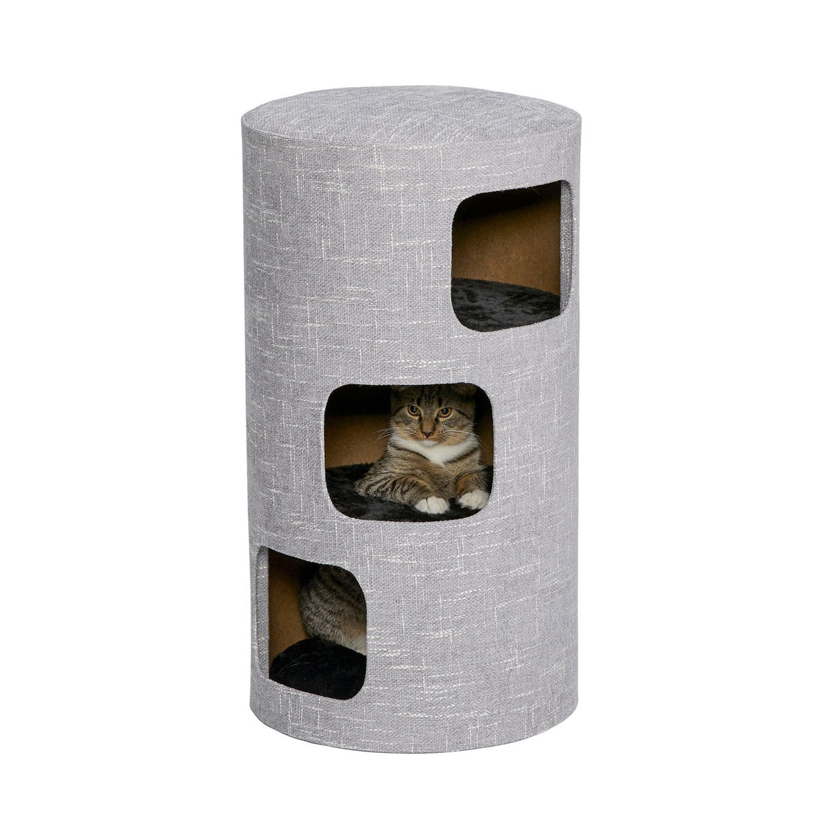 Midwest Feline Nuvo Nova for Cat