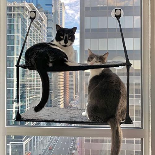 K&H Ez Mount Window Double Stack Kitty Sill - Gray