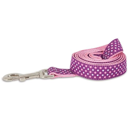 Petmate Aspen Dog Leash - Pink Dots 1"X6'