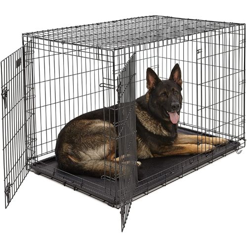 Midwest iCrate Double Door Dog Crate