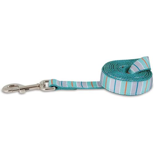 Petmate Aspen Dog Leash - Teal Stripe 1"X6'